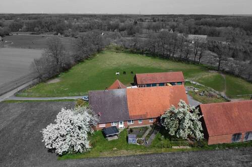 Süddansicht - 6 Zimmer Mehrfamilienhaus, Wohnhaus in Westerkappeln
