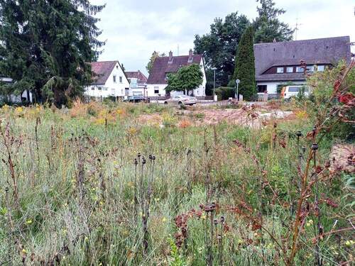 20250923_173045.jpg - Grundstück zum Kaufen in Nürnberg