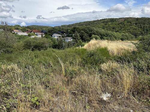 Bild 4 - Grundstück in Nohen zum Kaufen