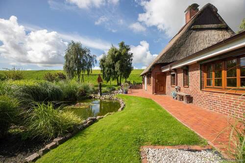 Gartenteich - 