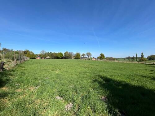 Weide Teil 3 - 