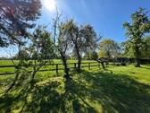 Blick zur Weide - 