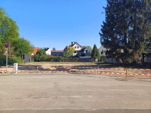 20250429_090527.jpg - 