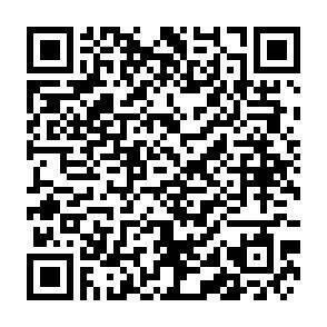 QR-Code - 