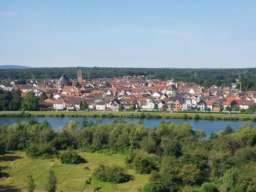 Aussicht Diele - 4 Zimmer Etagenwohnung in Mainaschaff
