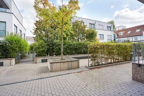 Hinterhof - 