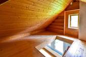 Dachspitz - 