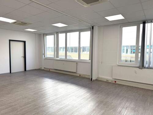 Foto 02.02.26, 13 12 39.jpg - 