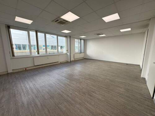 Foto 02.02.26, 13 13 07.jpg - 