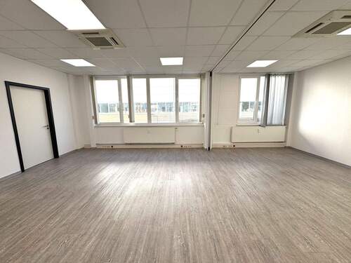 Foto 02.02.26, 13 13 01.jpg - 