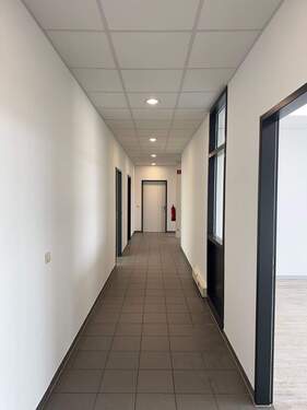 Foto 02.02.26, 13 13 44.jpg - 