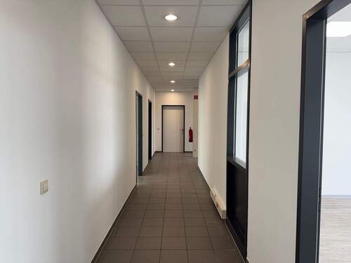 Foto 02.02.26, 13 13 47.jpg - 