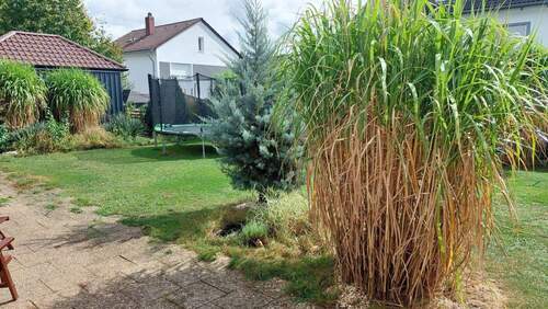 Garten.jpg - 4-Zimmer-Souterrain Wohnung mit Garage auf 114 m² & ca. 250 m² Garten im UG in ruhiger Wohnlage in Weiden i. d. Opf.