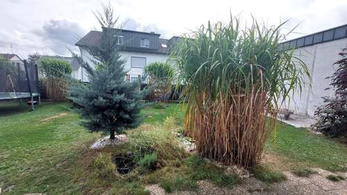 Garten2.jpg - 4 Zimmer Terrassenwohnung zur Miete in Weiden in der Oberpfalz
