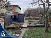 Blick in den Garten - 