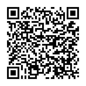 QR-Code - 
