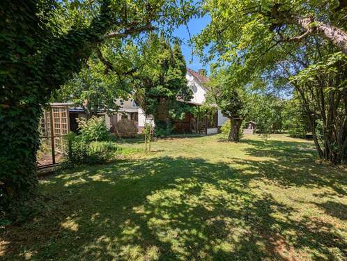 Eingewachsener Garten - 