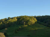 Ausblick - 