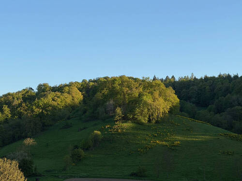Ausblick - 