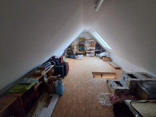 20260227_091503.jpg - 