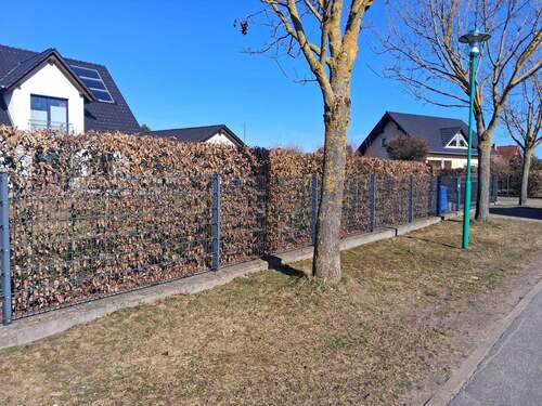 20260304_134427.jpg - 5 Zimmer Einfamilienhaus in Neuruppin