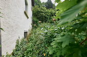Gartenbereich neben dem Objekt - 