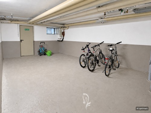Fahrradkeller - 