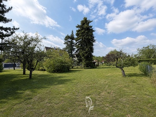 Garten Gesamtfläche - Einfamilienhaus mit 155,00 m&sup2; in Veitshöchheim zum Kaufen