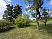 Garten hinten - 