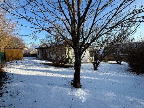 Ansicht Eingang vom Garten - 