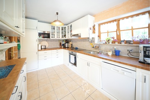 Offener Küchenbereich - 