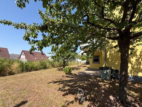 Blick auf die Terrasse - 