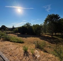 Baugrundstück mit Weitblick in einer der schönsten Lagen von Höchberg