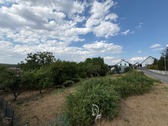 IMG_1250 - 
