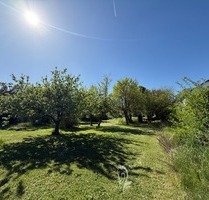 Sonniges Baugrundstück für Einfamilien-, oder Doppelhaus in einer der schönsten Lagen von Höchberg