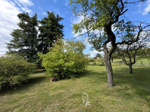 Garten hinten - 