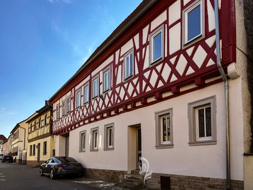 Strassenansicht hist. Gebäude - 