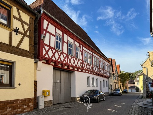 Strassenansicht hist. Gebäude - 