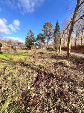 IMG_1159 - Grundstück in Hilzingen zum Kaufen