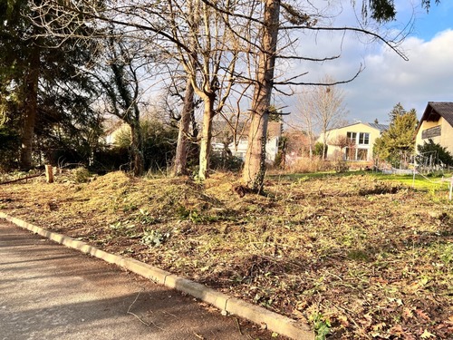 IMG_1157 - Grundstück in Hilzingen