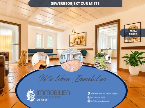 1 - Praxis Ortsrand Singen mit 6 Räumen, 2 Eingängen & 8 Stellplätzen – Gewerberäume