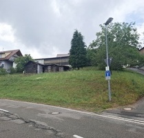 Unverbaubarer Blick über den Odenwald - Heiligkreuzsteinach Lampenhain