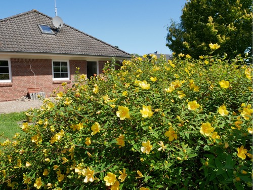 Blick von Süden aufs Haus - Geltinger Bucht! Gepflegter Bungalow in ruhiger Lage in 24972 Steinbergkirche zu verkaufen.