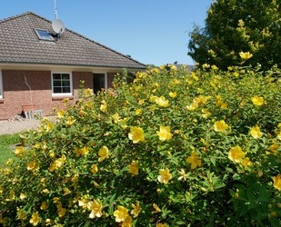 Geltinger Bucht! Gepflegter Bungalow in ruhiger Lage in 24972 Steinbergkirche zu verkaufen.