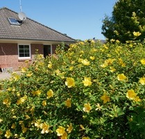 Geltinger Bucht! Gepflegter Bungalow in ruhiger Lage in 24972 Steinbergkirche zu verkaufen.