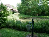 Gartenteich hinterm Haus - 