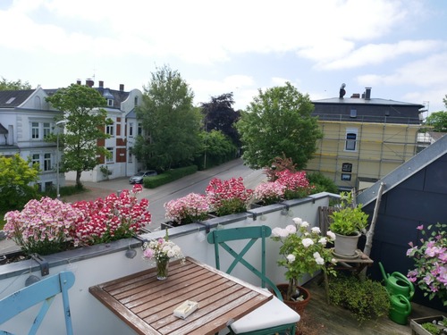 Aussicht vom Balkon - 
