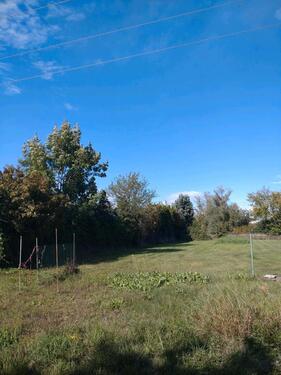 Foto - Grundstück zur Verpachtung ideal für Pony oder Tierhaltung