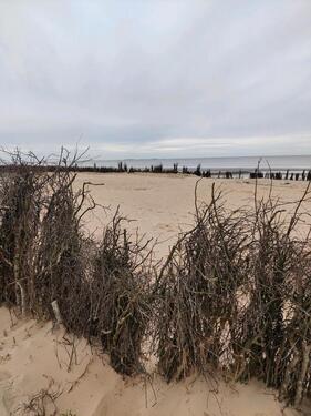 Foto - Last Minute 2 Zi-Ferienwohnung Cuxhaven Duhnen