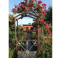 Garten, 350m², in der Anlage 